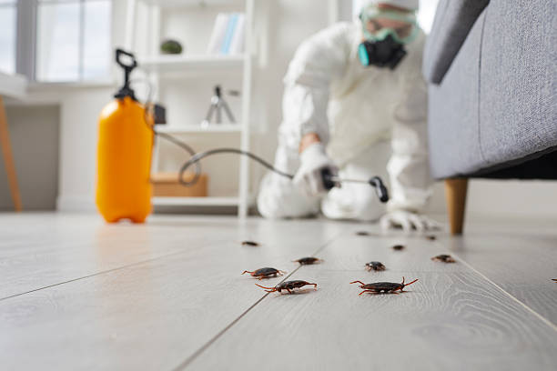 Commercial Kitchen Cockroach Control in Medina